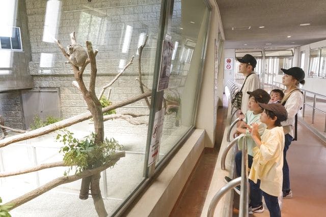 淡路ファームパーク イングランドの丘