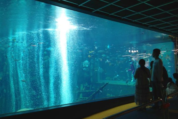 箱根園水族館