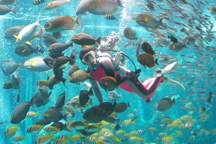 箱根園水族館