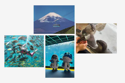 【最大600円割引！】箱根園水族館×箱根駒ヶ岳ロープウェー　お得なセット券