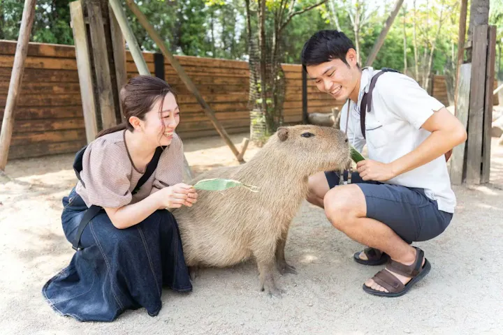 那須どうぶつ王国