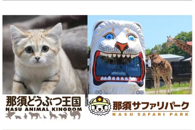 最大1,000円割引】那須どうぶつ王国＆那須サファリパーク 前売セット券