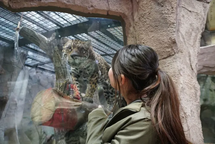 3 19まで販売 那須どうぶつ王国 電子前売り入国券 アソビュー