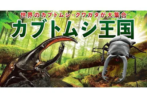 夏休み企画！カブトムシ王国チケット付きプラン