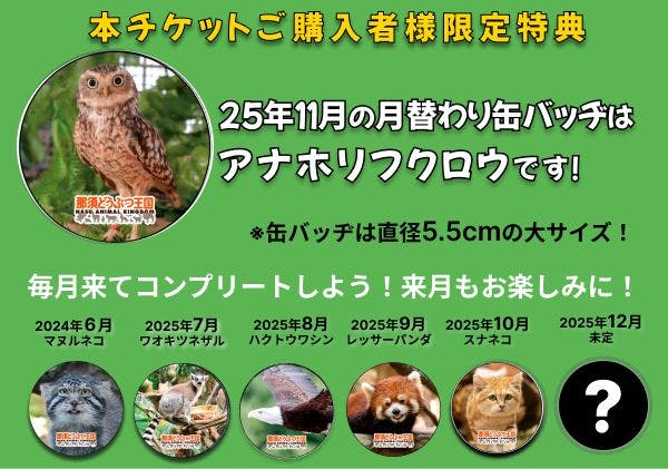 那須どうぶつ王国 下見 ご招待券 ３名まで 非売品 送料無料 2025年最新那須どうぶつ王国 ご招待券 2の人気アイテム - メルカリ