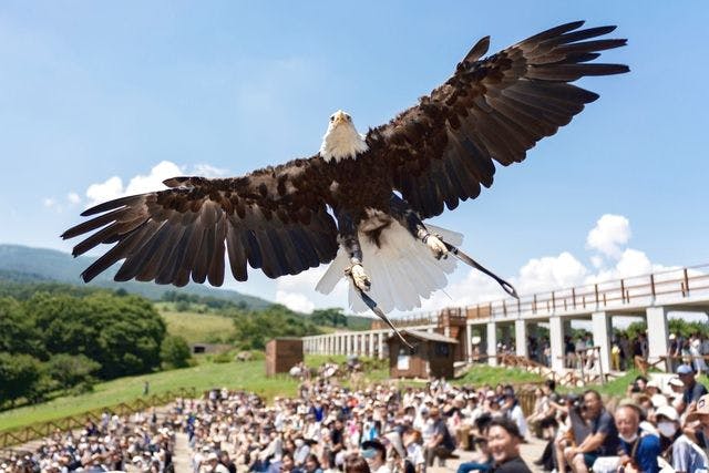 ＜最大3,000円OFFクーポン利用可＞【最大25％割引】那須どうぶつ王国 並ばず入れる入国前売券