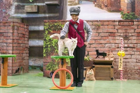 超特割！【最大20％割引】那須どうぶつ王国 並ばず入れる入国前売券（冬季期間：2025/12/19～2026/3/9）