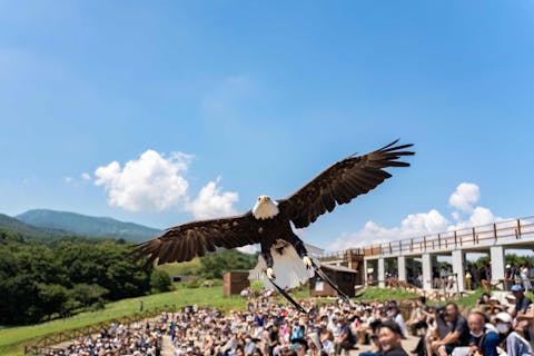 那須どうぶつ王国 並ばず入れる入国前売券