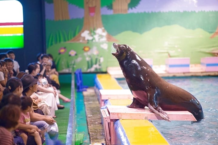 5 割引 伊勢夫婦岩ふれあい水族館シーパラダイス 伊勢シーパラダイス 割引チケット クーポンならアソビュー