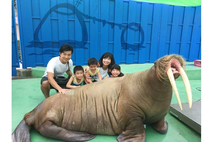 5 割引 伊勢夫婦岩ふれあい水族館シーパラダイス 伊勢シーパラダイス 割引チケット クーポンならアソビュー