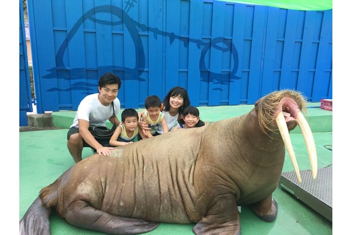 5 割引 伊勢夫婦岩ふれあい水族館シーパラダイス 伊勢シーパラダイス 割引チケット クーポンならアソビュー 5 割引 伊勢夫婦岩ふれあい水族館シーパラダイス 伊勢シーパラダイス 割引チケット クーポンならアソビュー