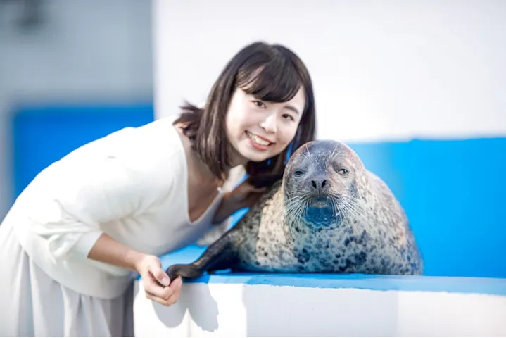 8 割引 伊勢夫婦岩ふれあい水族館シーパラダイス 伊勢シーパラダイス 割引チケット クーポンならアソビュー