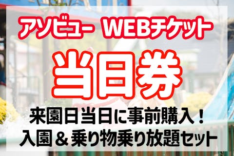 100pt還元【モビリティリゾートもてぎ】パークパスポートセット（入場