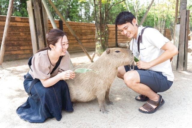 那須ハイランドパーク×那須どうぶつ王国 共通チケット - 那須ハイ