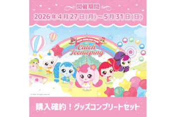 シークレット キャッチ！ティニピン】購入確約！コラボグッズセット 