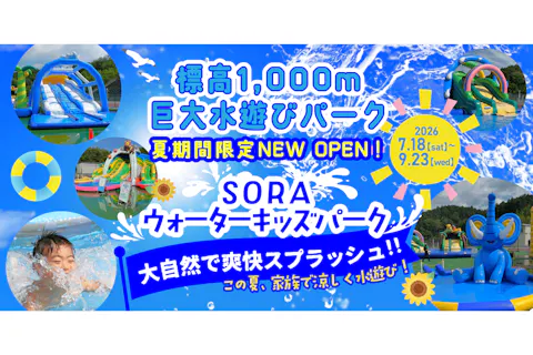 【購入日の翌日から使用可】最大33％割引！新施設 SORAウォーターキッズパーク　1日入場券