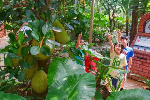 超特割！【クーポン利用・最大17%割引】 OKINAWAフルーツらんど 入園クーポン