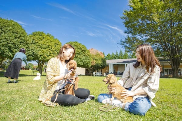 15 割引 世界の名犬牧場 日時指定クーポン 飼い主 犬入場料 アソビュー