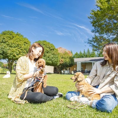 15 割引 世界の名犬牧場 日時指定クーポン 飼い主 犬入場料 アソビュー 15 割引 世界の名犬牧場 日時指定クーポン 飼い主 犬入場料 アソビュー