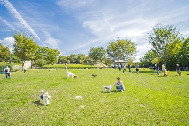 15 割引 世界の名犬牧場 日時指定クーポン 飼い主 犬入場料 アソビュー