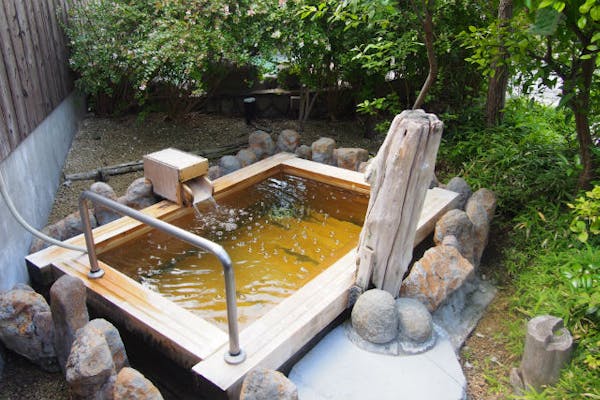 最終値下げ！野口医学研究所品質推奨品　温浴器　　匠の湯 土日祝・9時～14時限定】明神の湯 クーポン（入館料＋フェイスタオル