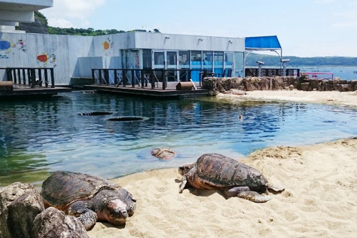 串本海中公園水族館