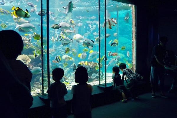 330円割引】串本海中公園 クーポン（水族館・海中展望塔入場＋選べる特選グルメお食事券）｜アソビュー！