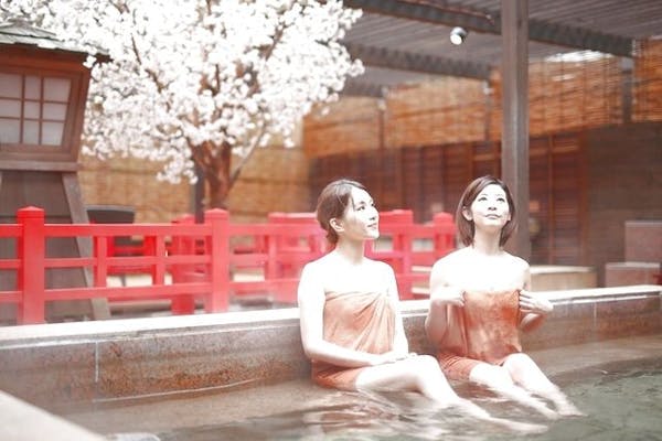 最大43％OFF＞太閤の湯（入館＋三種の肉すき御膳＋貸切岩盤浴＋ソフト