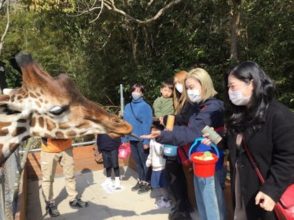 四国の遊園地 テーマパーク 公園 一覧 遊び予約 レジャークーポン アソビュー