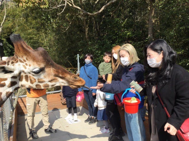 しろとり動物園 割引チケット クーポンならアソビュー