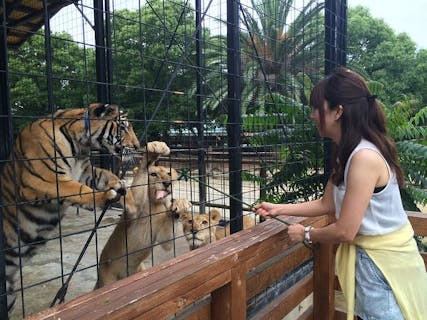 四国の遊園地 テーマパーク 公園 一覧 遊び予約 レジャークーポン アソビュー