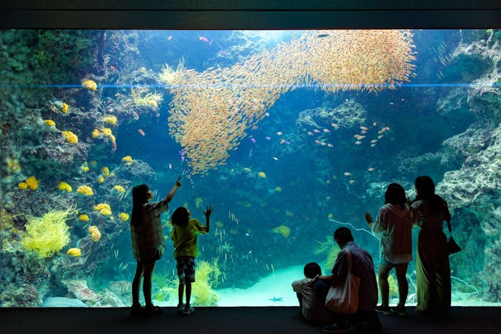 環境水族館アクアマリンふくしま
