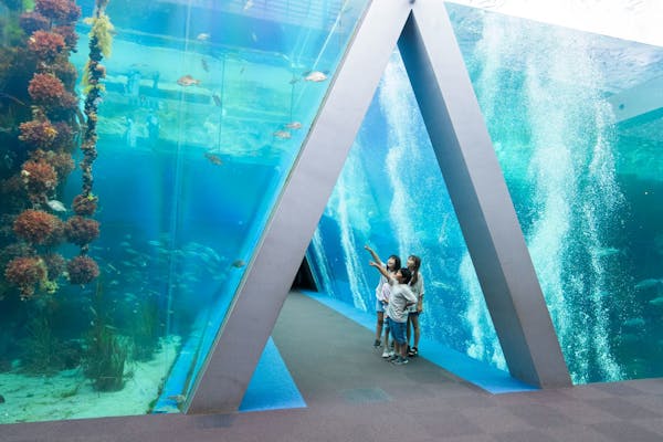 アクアマリン 幸せへ導く大粒アクア［ディープアクアマリン・アクアマリン／水晶