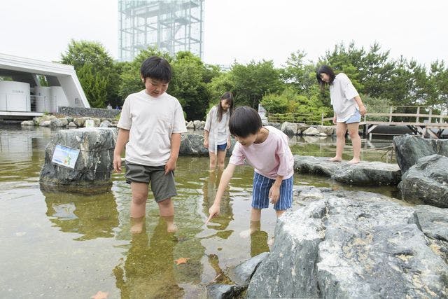 アクアマリンふくしま 前売り電子入館チケット - 環境水族館アクア