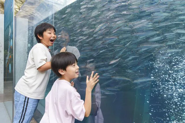 アクアマリンふくしま 前売り電子入館チケット - 環境水族館アクア