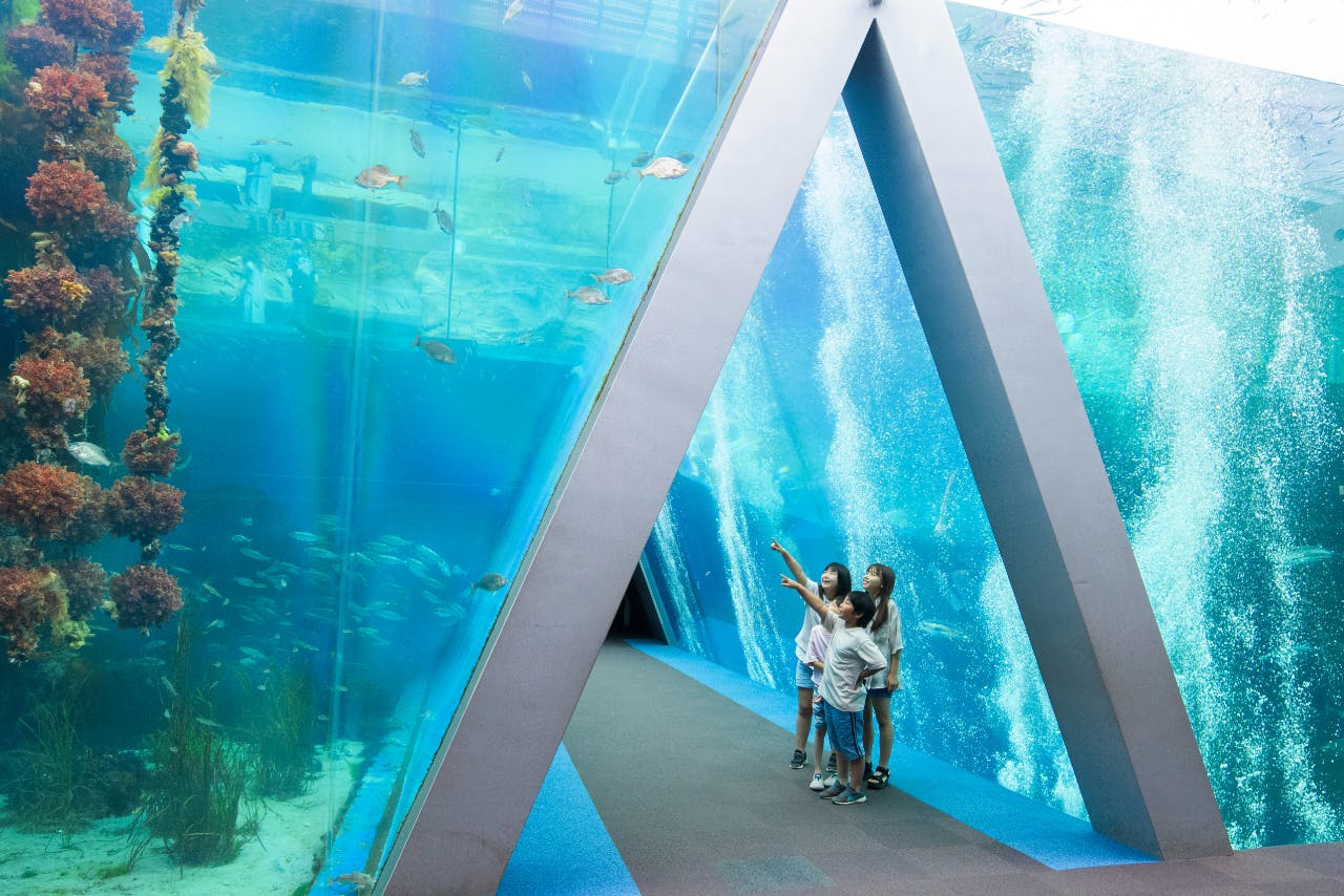 アクアマリンふくしま　前売り電子入館チケット