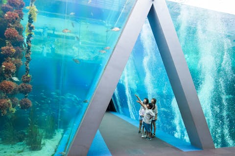 アクアマリンふくしま　前売り電子入館チケット