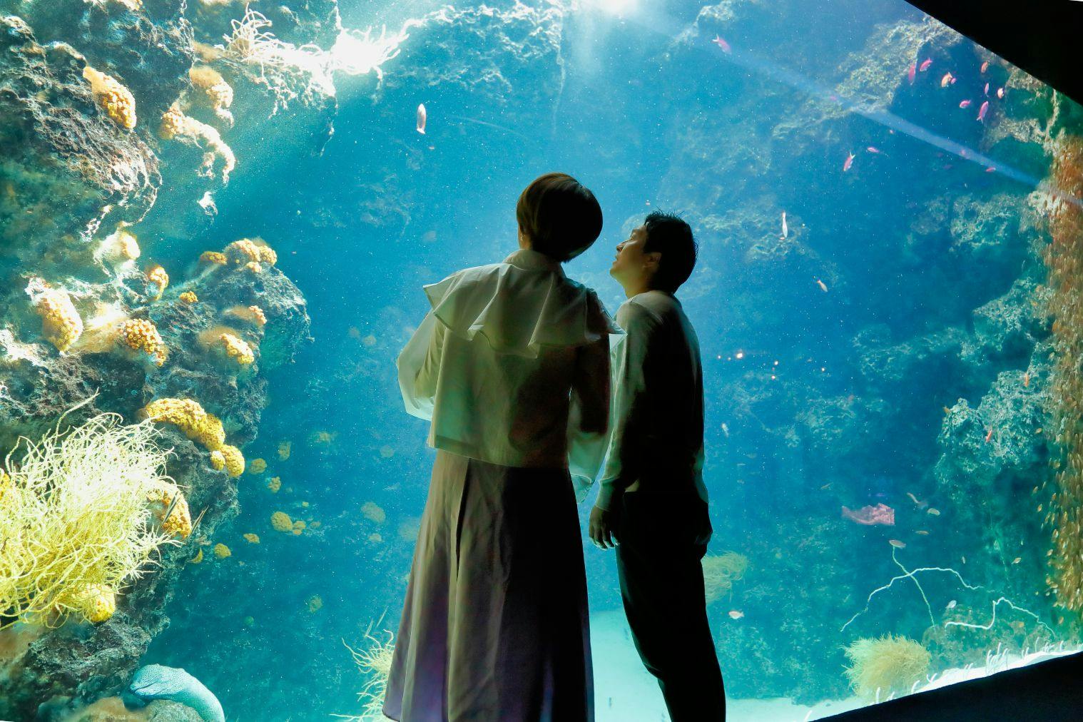 【今だけ2人でお得！】友人・夫婦・カップルで使える入館前売り券「ラブカップルチケット」