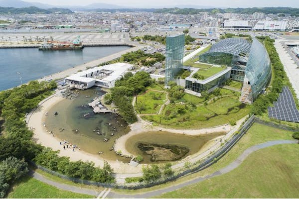 最大100円オフ】超特割！東北最大級の体験型水族館「アクアマリン