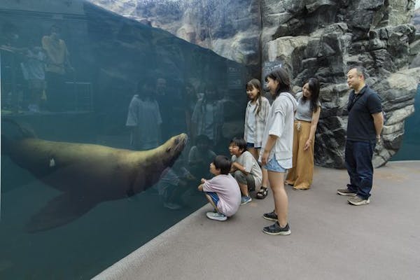 最大100円オフ】超特割！東北最大級の体験型水族館「アクアマリン