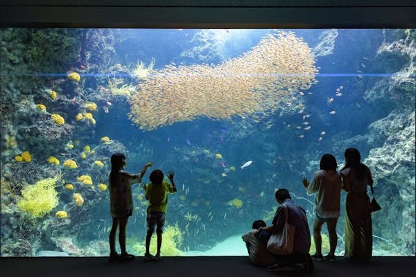 最大100円オフ】超特割！東北最大級の体験型水族館「アクアマリン
