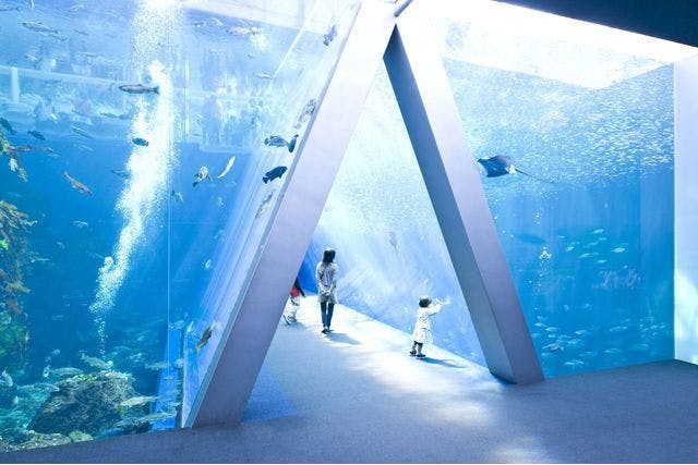 【最大100円オフ】超特割！東北最大級の体験型水族館「アクアマリンふくしま」前売り電子入館チケット