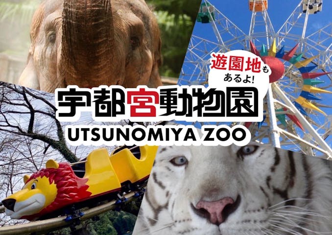 宇都宮動物園