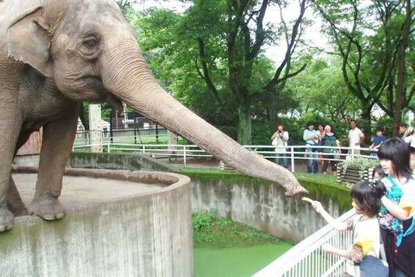 超特割！【最大12％割引】宇都宮動物園 割引入園券（当日利用可