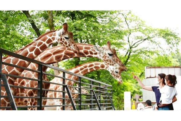 超特割！【最大12％割引】宇都宮動物園 割引入園券（当日利用可