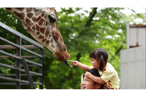超特割！【親子ペア・10％割引】遊園地も併設！宇都宮動物園 割引入園券（当日利用可）