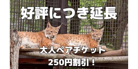 超特割！【アソビュー！限定】宇都宮動物園 大人ペア入園券