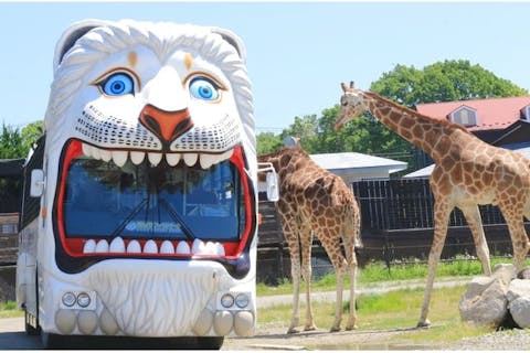 那須町（那須郡） 遊園地・テーマパーク ・公園の遊び体験