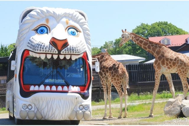 那須ワールドモンキーパーク 割引券 - 動物園