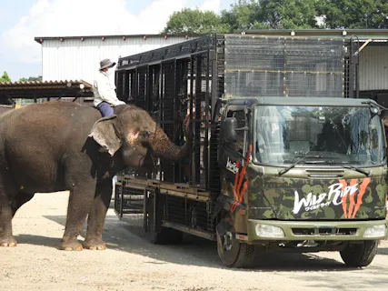 栃木の遊園地 テーマパーク 公園 一覧 遊び予約 レジャークーポン アソビュー